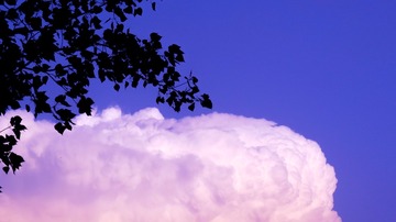 140557