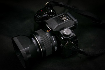 295615