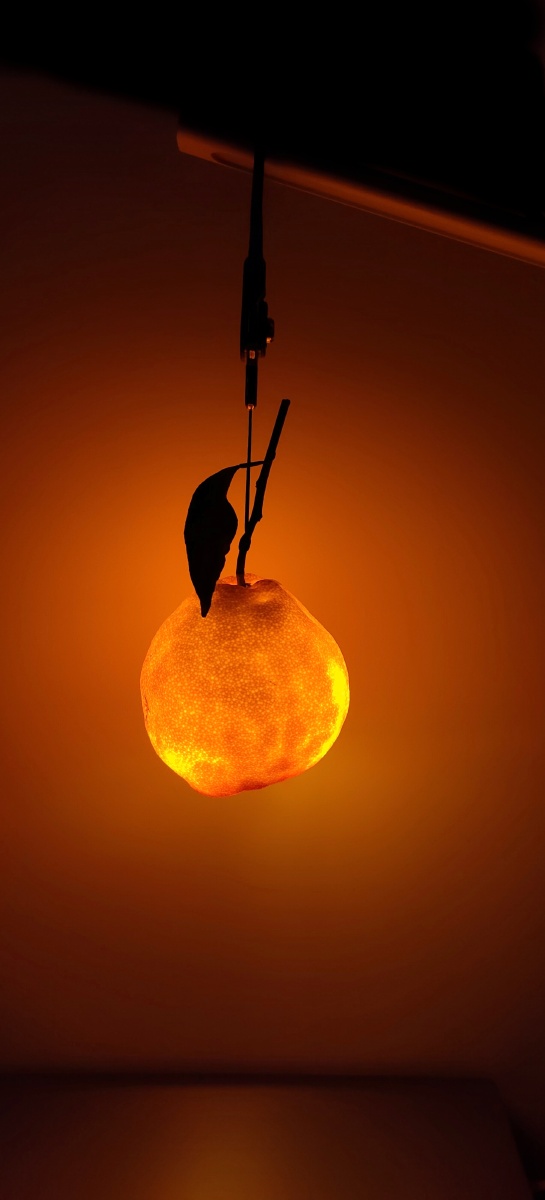 小橘灯·心想事「橙」