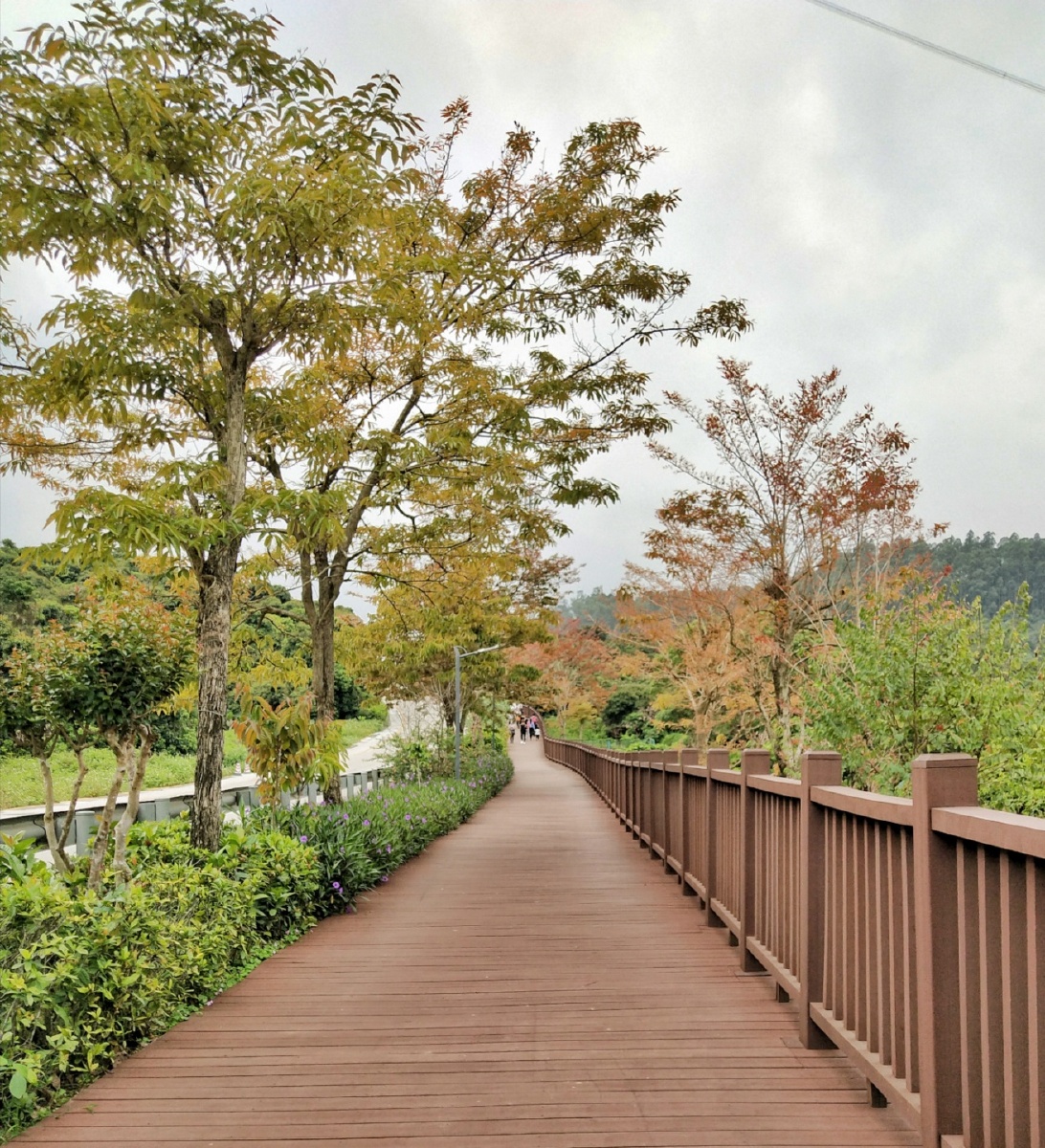 深刊罗湖区五号绿道