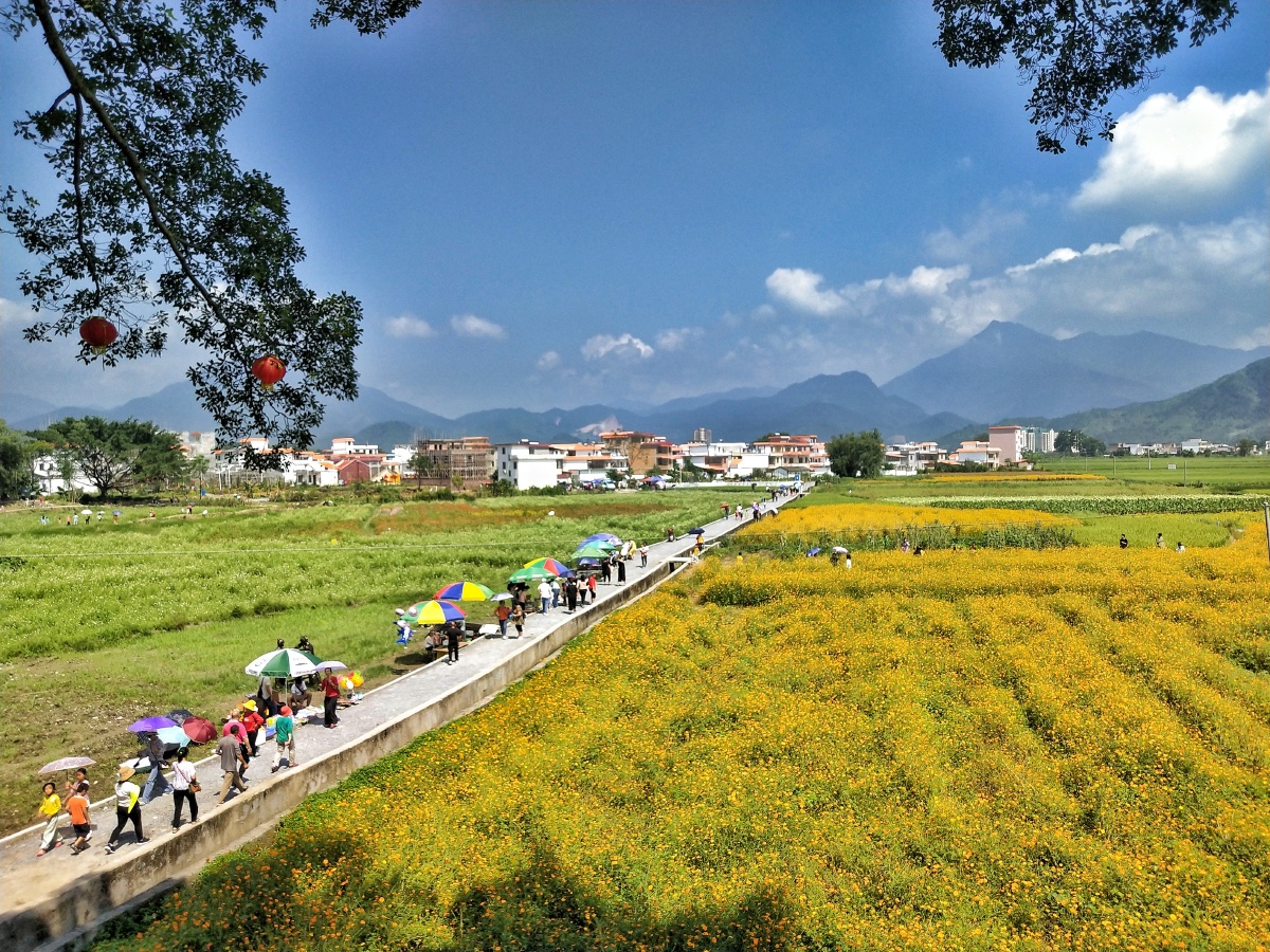 乐昌市廊田镇白马寨农民丰收节随拍
