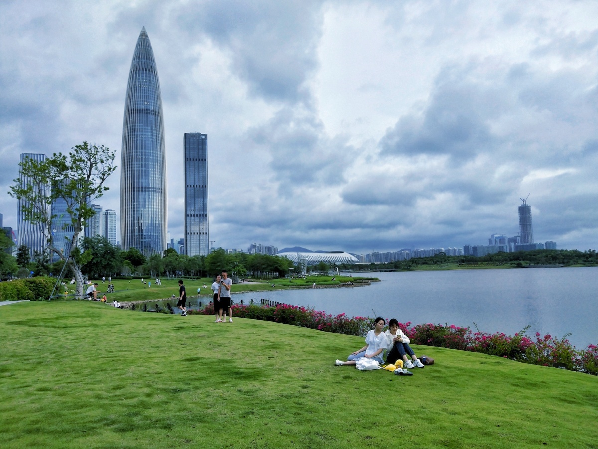 人才公园深圳湾随拍