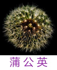 1328039