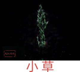 1292513