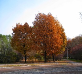 2451689