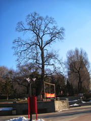 1856289