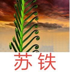 1265658