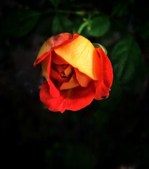 1501887