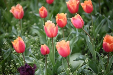 93BDA597-D159-403D-94D3-A227DB808548/L0/001