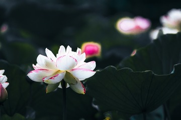 6B3B1D03-D5EE-4718-B846-9D51DEE8FF91/L0/001