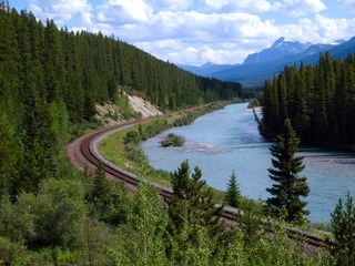 P8133399