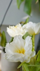 5751A733-AE07-4889-AACE-E10CB5F8D937/L0/001