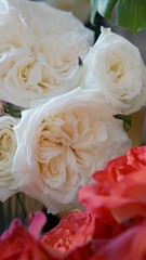 52476E3B-7B89-4888-A72C-A8DA09862191/L0/001