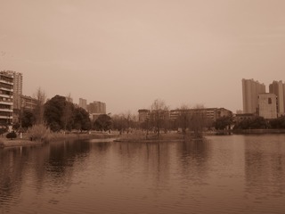 03167A62-A322-495B-A360-B2A998F10349/L0/001