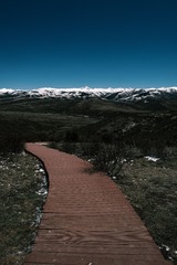 2645303