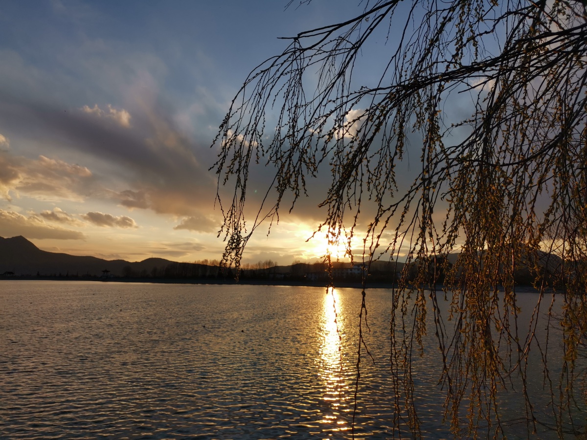 手机原图记录生活丽江风景