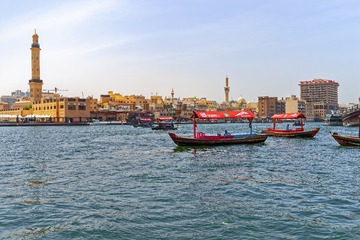 _DSC4846