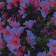 4B9B8E78-A0B7-4EAA-8292-48DF0F36C435/L0/001