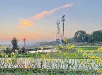 661AA915-8A44-4E70-A95F-E4F822DE159E/L0/001