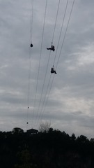 1226395