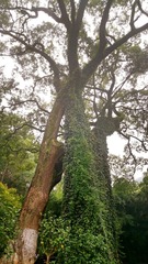 1201224