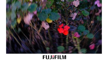 18784A67-995A-4820-A79E-CC616512FC8B/L0/001