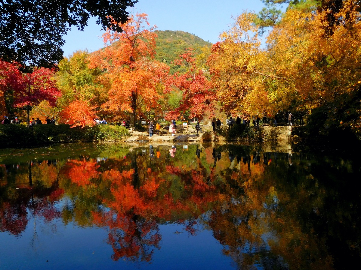 苏州天平山红枫季已经来临