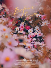8A387274-C5ED-4A11-B55A-A190041082DD/L0/001