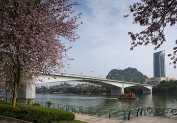 _DMN1571 - 