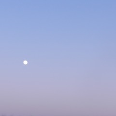 748070C2-E479-4CFF-9CF5-B3C69181C5DE/L0/001