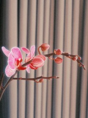8C9BC36E-18FC-4BC9-A650-80363E582DB2/L0/001
