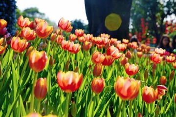 1A46537E-6FF2-4027-9C56-DD1E269EB135/L0/001