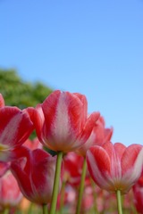 95AD3757-C229-4B16-B3AE-404B167F2E5B/L0/001