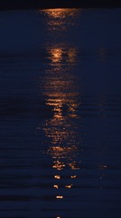 120073