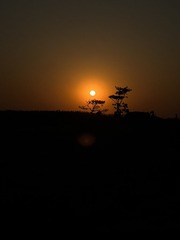 A7BD636F-F3D8-4FA3-BE80-FCE59D0D4E58/L0/001