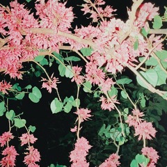 A034E4F4-F9CE-455F-B3A9-8975AACA5B2D/L0/001