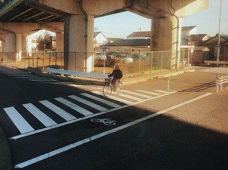 Optional(
