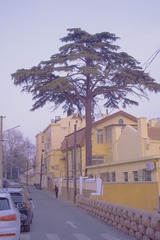 189729