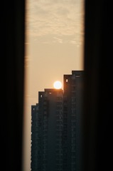 1000016242