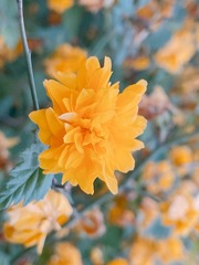 497AB9F0-3B51-47AA-9A80-AFA1AAF421DA/L0/001