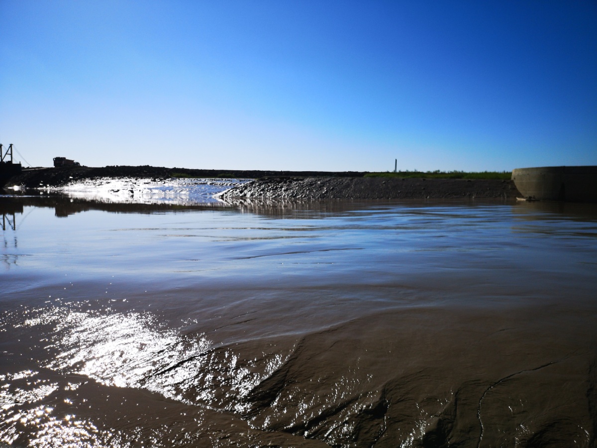 宁波杭州湾海边滩涂