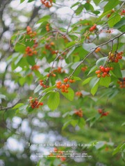 9276D308-A62D-4F7F-B6D6-79DAE258CAD1/L0/001