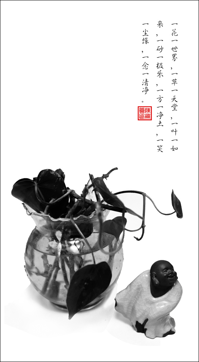 摄影,国画,禅语相结合的一种尝试