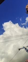 1000008181