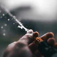 96831