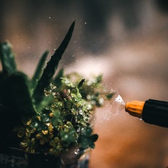 96836