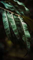 102202