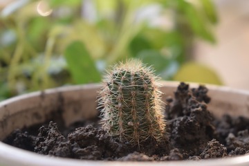 753440