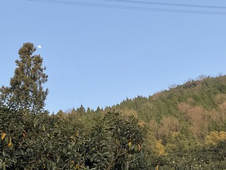 91E980A7-BD40-4BEE-AB2A-014EFB93B816/L0/001