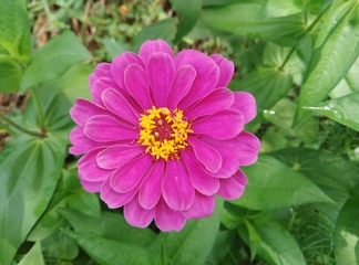 IMG_20160626_105516